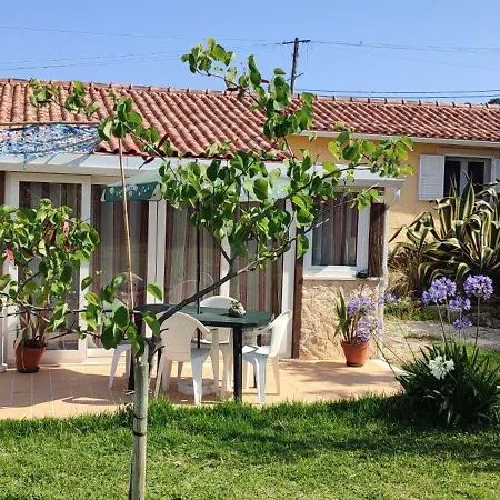 Guest house Nazare Wsl Experience 2025 *