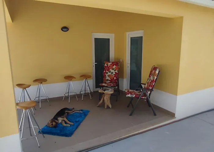 Nazare Wsl Experience 2025 Guest house 3*